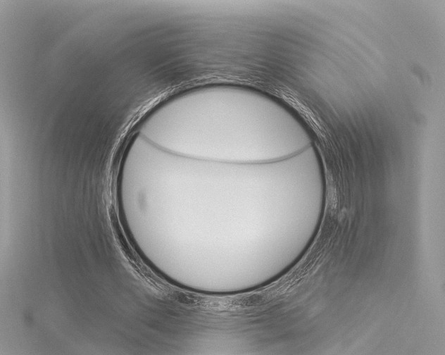 X0000116030486200911201003