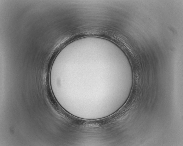 X0000116030491200911201003