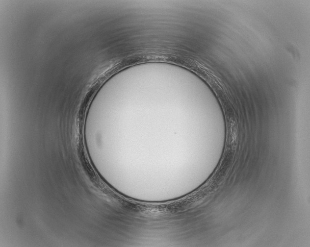 X0000116030494200911201002