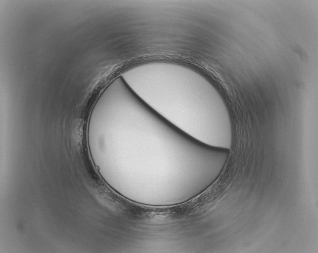 X0000116030495200911201002