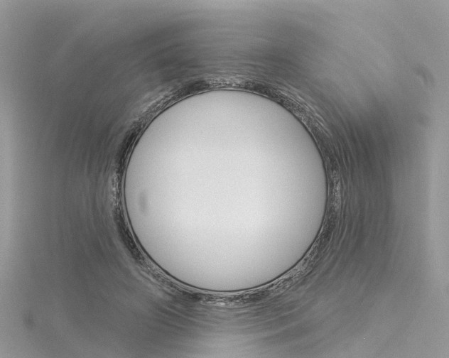 X0000116030498200911201002