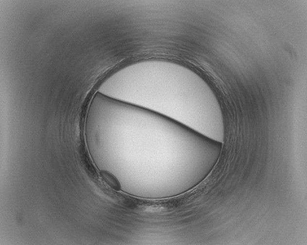 X0000116030500200911201002