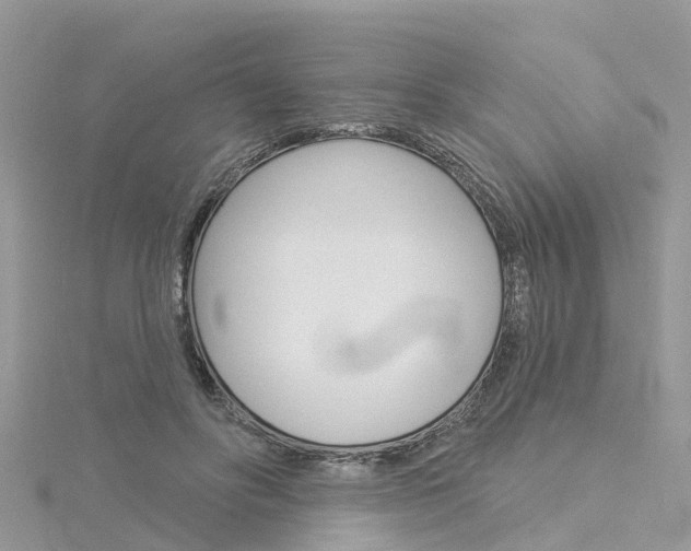 X0000116030502200911201002