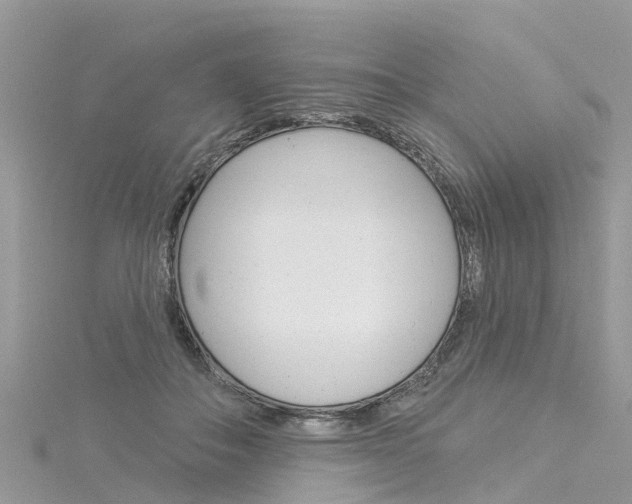 X0000116030506200911201002