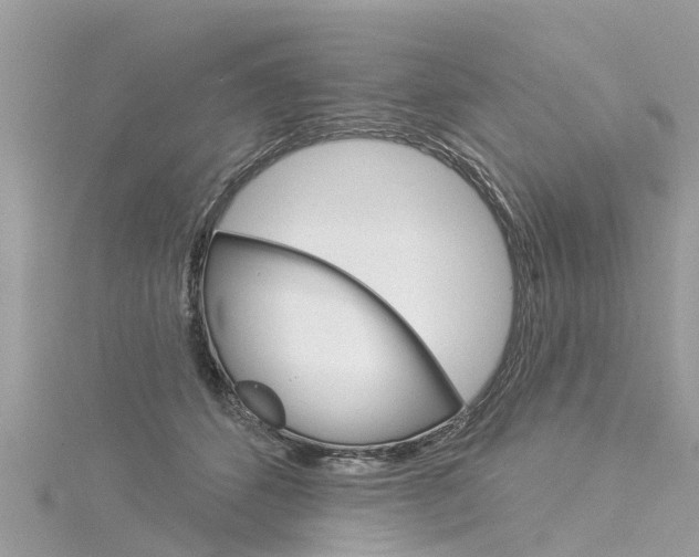 X0000116030512200911201002