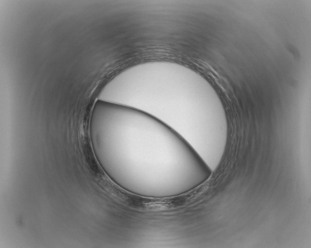 X0000116030516200911201002