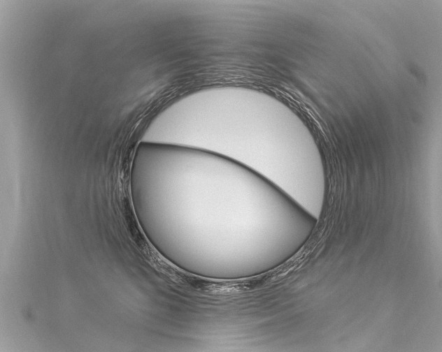 X0000116030520200911201002