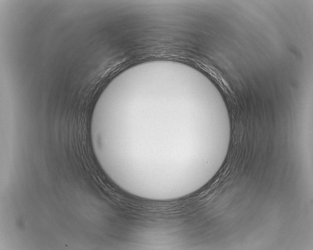 X0000116030521200911201002
