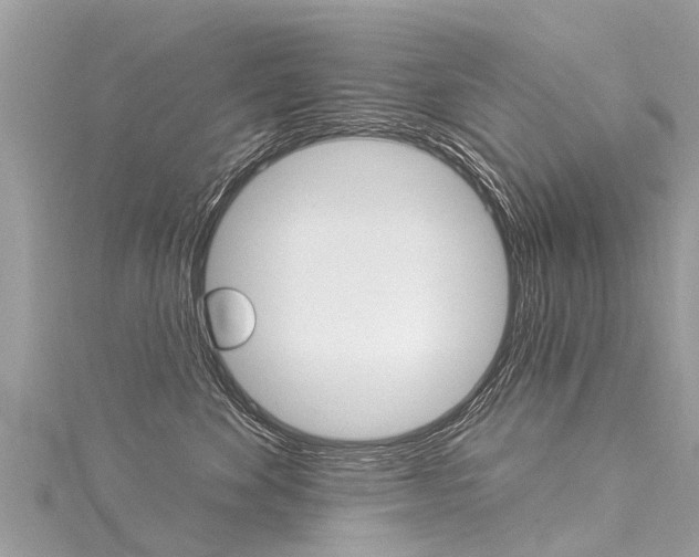 X0000116030524200911201002