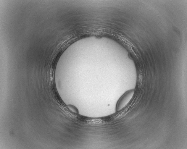 X0000116030525200911201002
