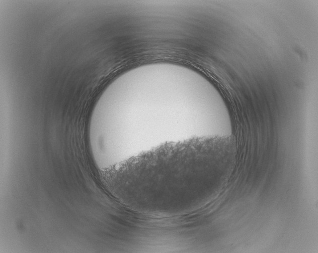 X0000116030551200911201002