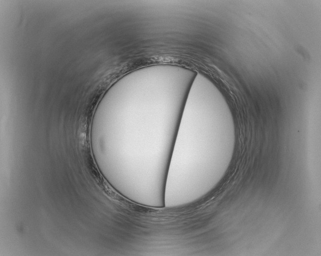 X0000116030553200911201002