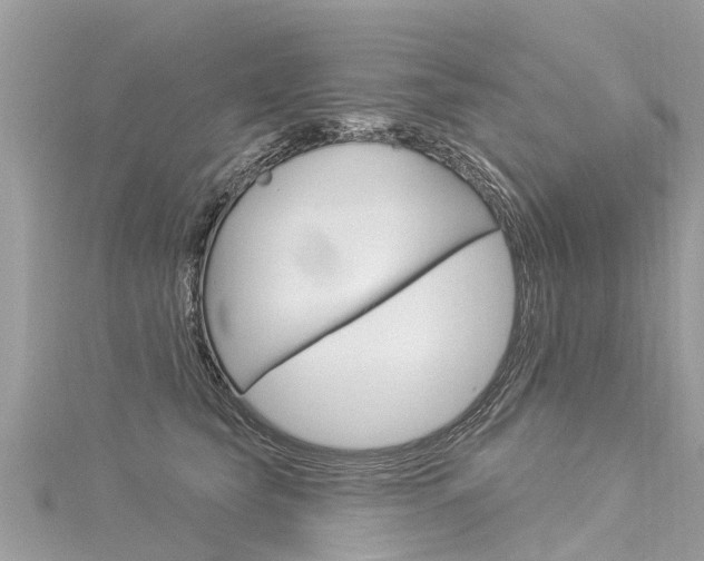 X0000116030565200911201002