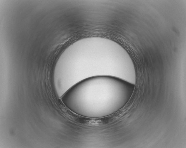 X0000116030566200911201002