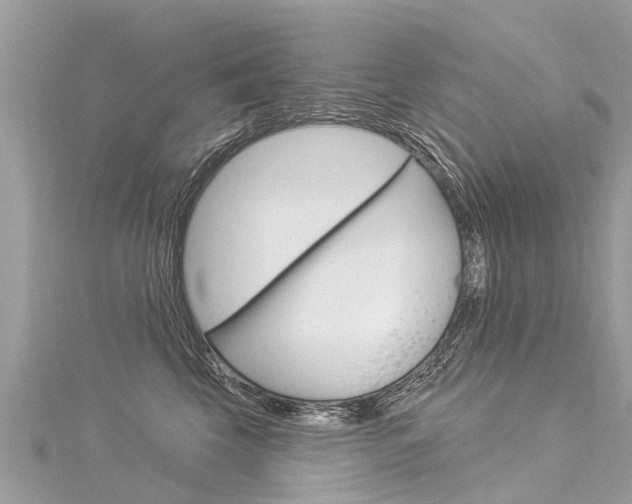 X0000116030569200911201002