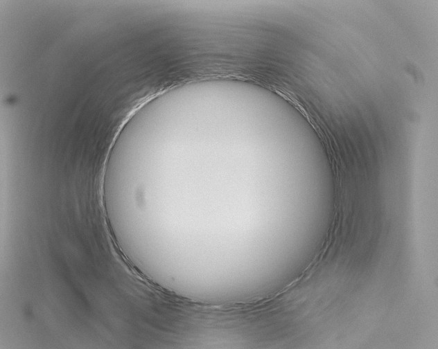 X0000116030579200911201001