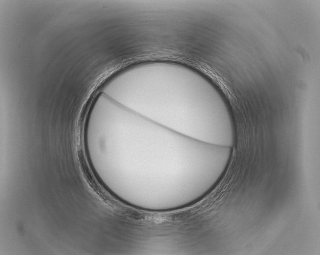 X0000116030582200911201001
