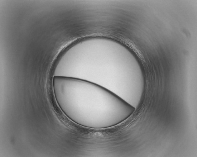 X0000116030588200911201001