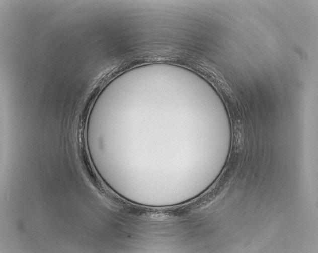 X0000116030590200911201001