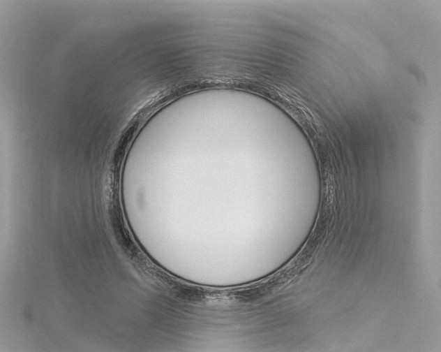 X0000116030591200911201001
