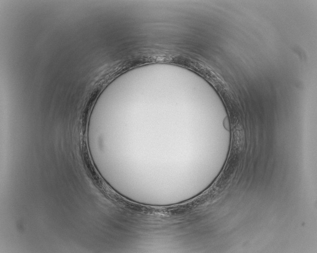 X0000116030594200911201001