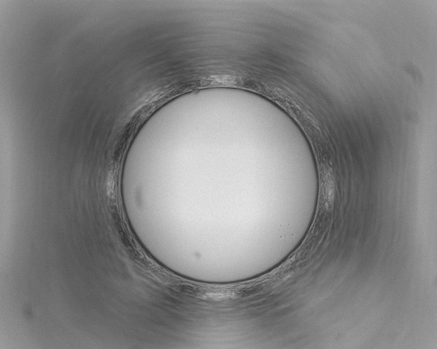 X0000116030595200911201001