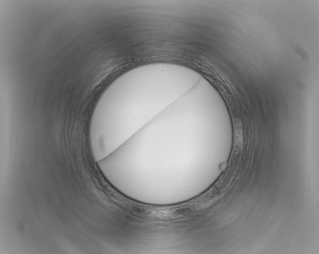 X0000116030599200911201001