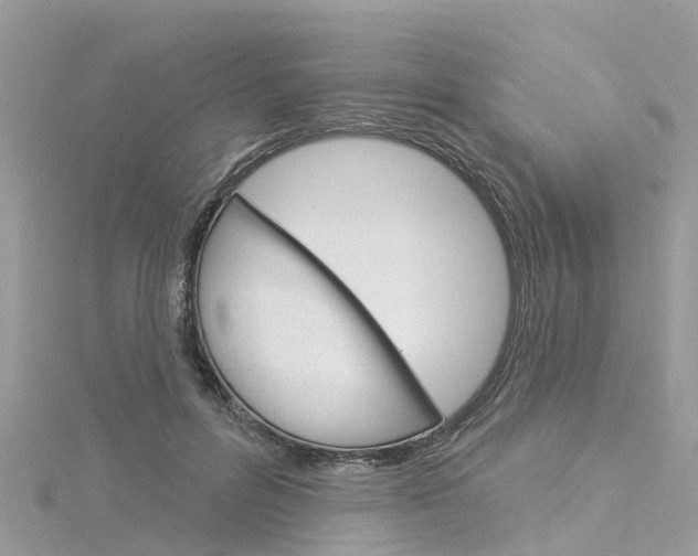 X0000116030600200911201001