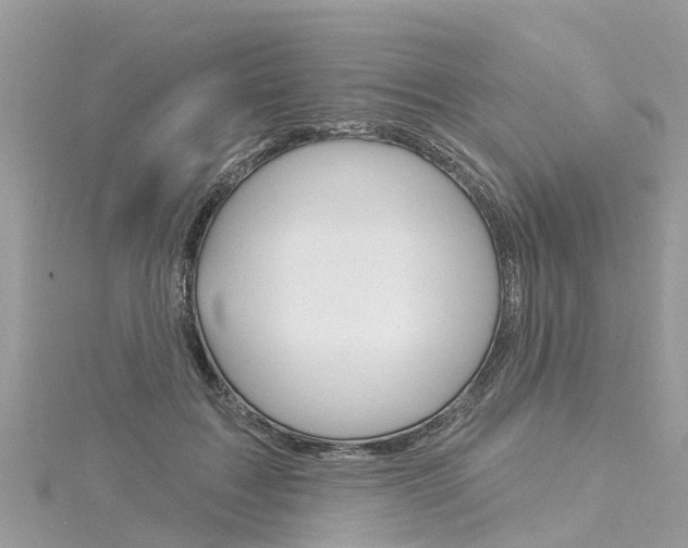 X0000116030603200911201001