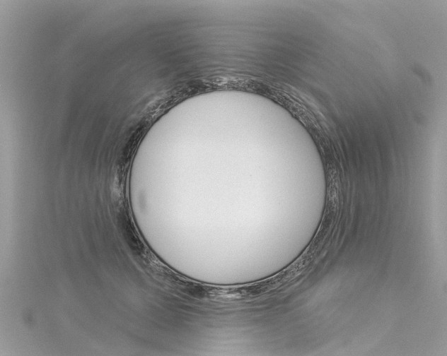 X0000116030607200911201001