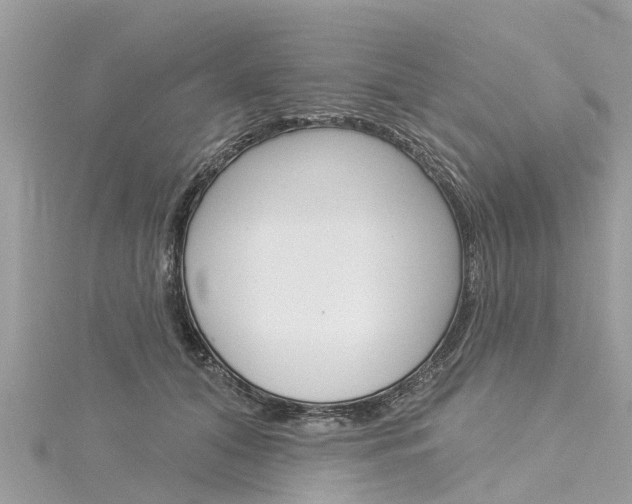 X0000116030608200911201001