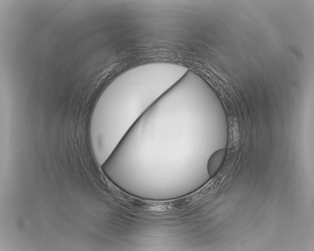 X0000116030611200911201001