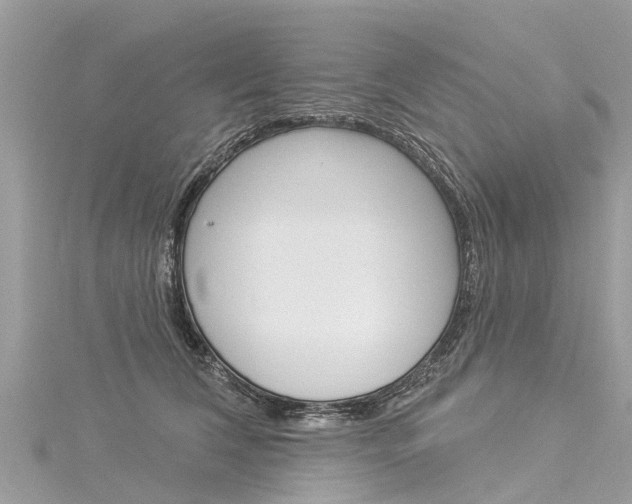 X0000116030612200911201001
