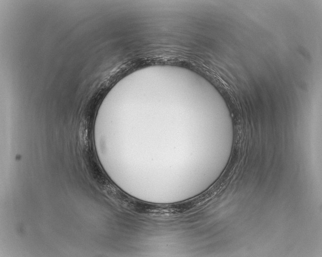 X0000116030615200911201001