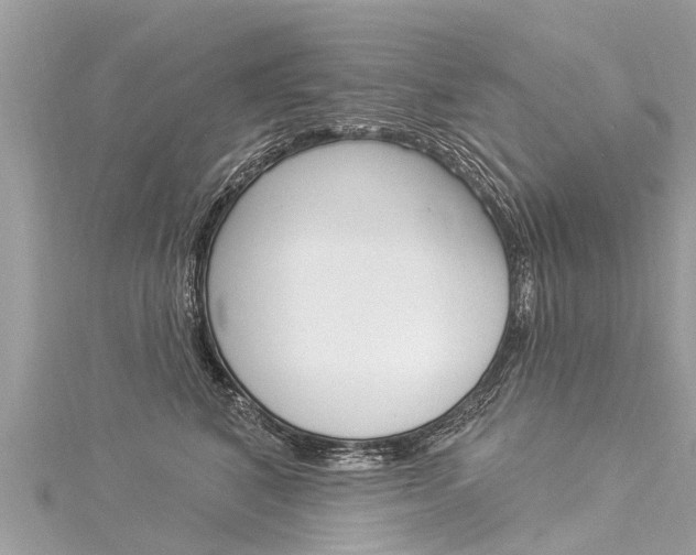 X0000116030616200911201001