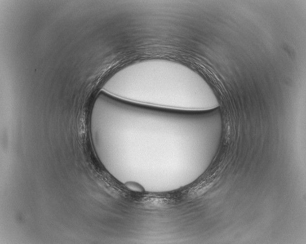 X0000116030620200911201001
