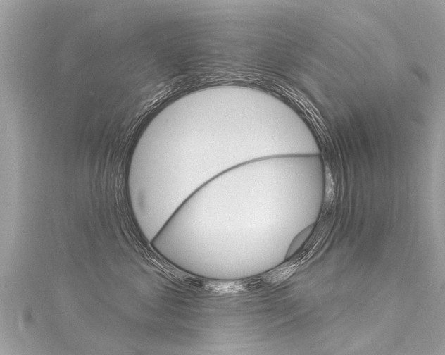 X0000116030621200911201001