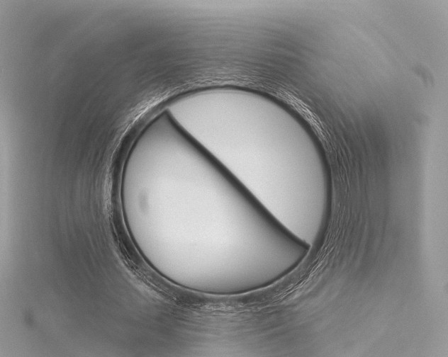 X0000116030627200911201000