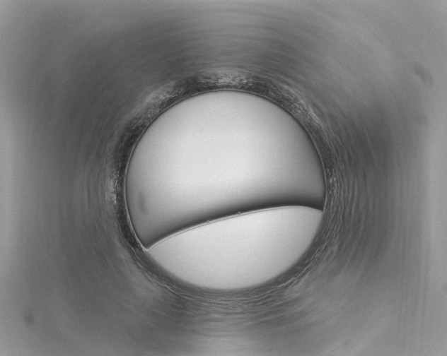 X0000116030643200911201000