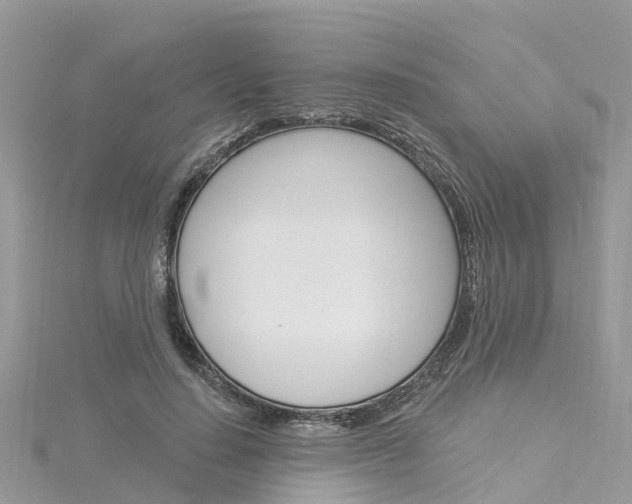 X0000116030644200911201000