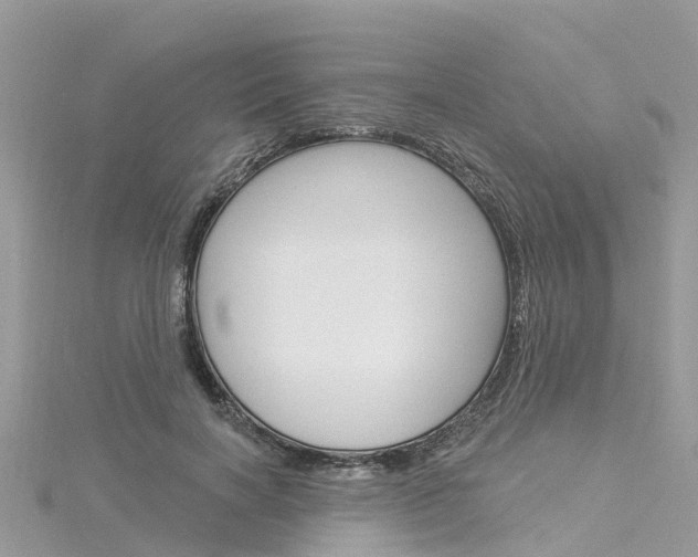 X0000116030646200911201000