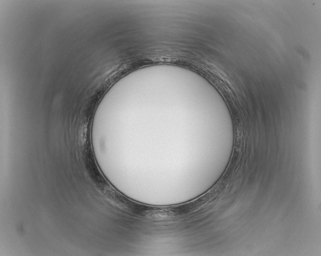 X0000116030652200911201001