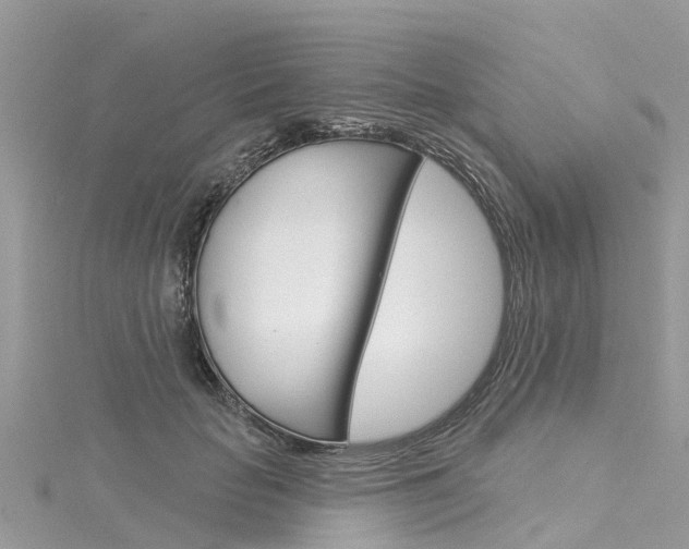 X0000116030653200911201001