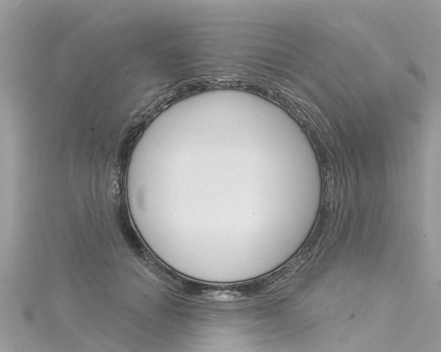 X0000116030654200911201001