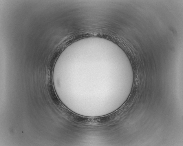 X0000116030656200911201001