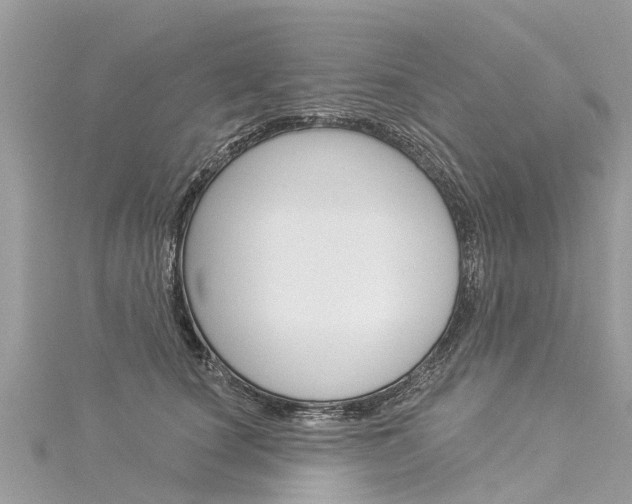 X0000116030660200911201001