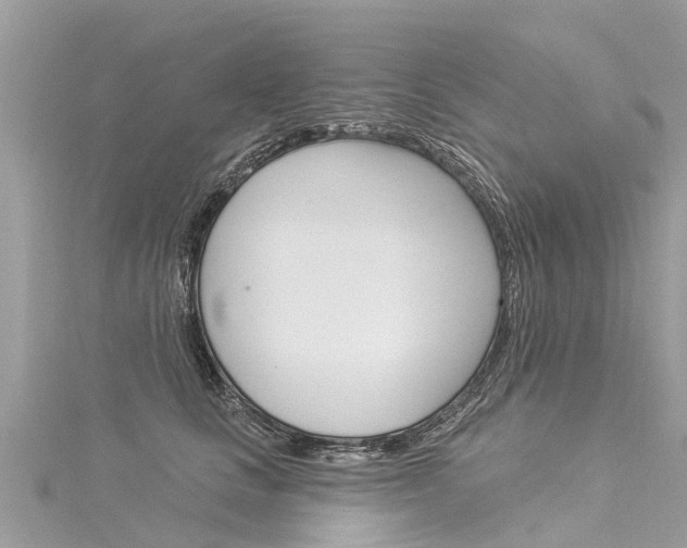 X0000116030661200911201001