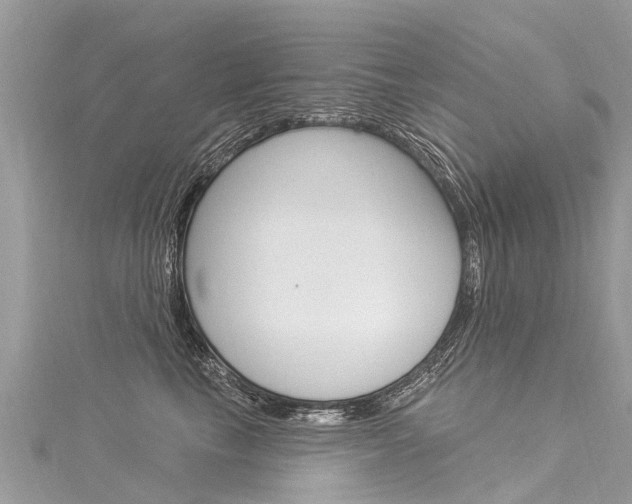 X0000116030665200911201001