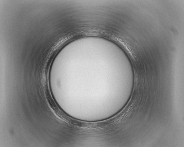 X0000116030674200911201000