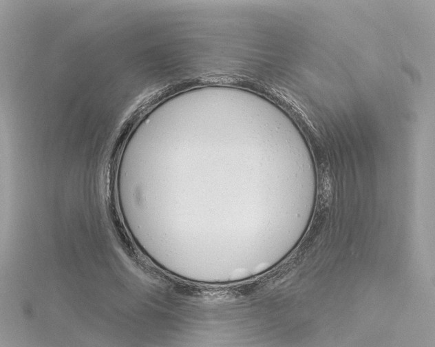 X0000116030686200911201000